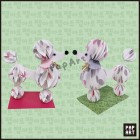 [PA-211] 푸들