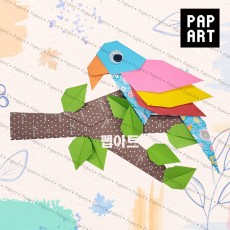 [ PA-713 ] 수다쟁이 앵무새(5개 묶음포장)